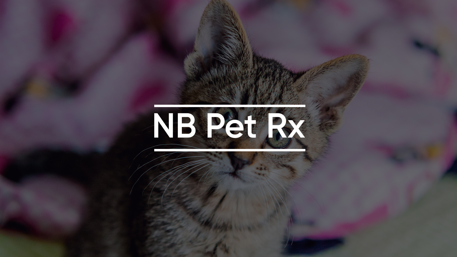NB Pet Rx - New Benefits - New Benefits